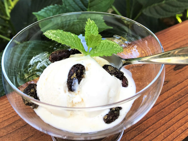 DIY Mint Chip Ice Cream using Organic, Plant-Based Vanilla Ice Cream and Mint-flavored Whole Cacao Beans