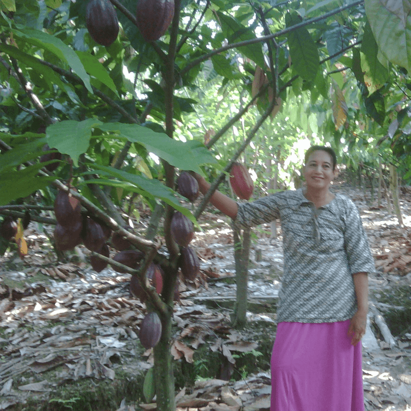 Cacao Farmer Female Sulawesi Indonesia Koptan Masagena